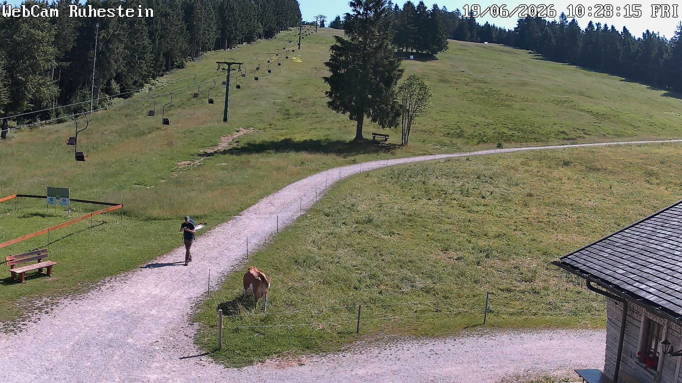 Archiv Foto Webcam Baiersbronn: Skilift Ruhestein