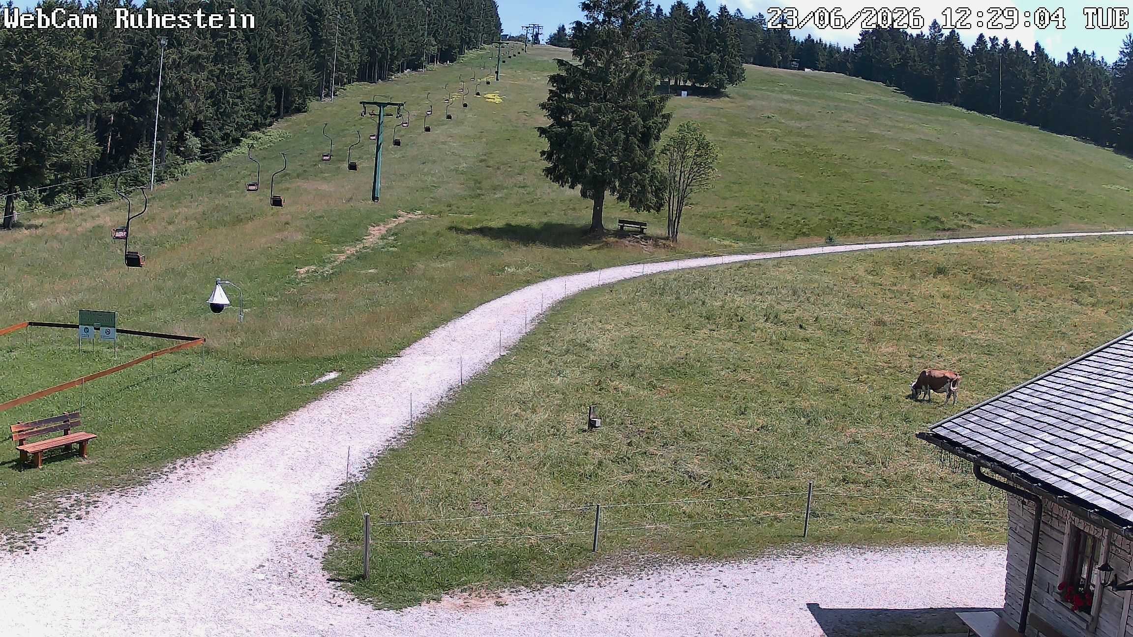 Archiv Foto Webcam Baiersbronn: Skilift Ruhestein