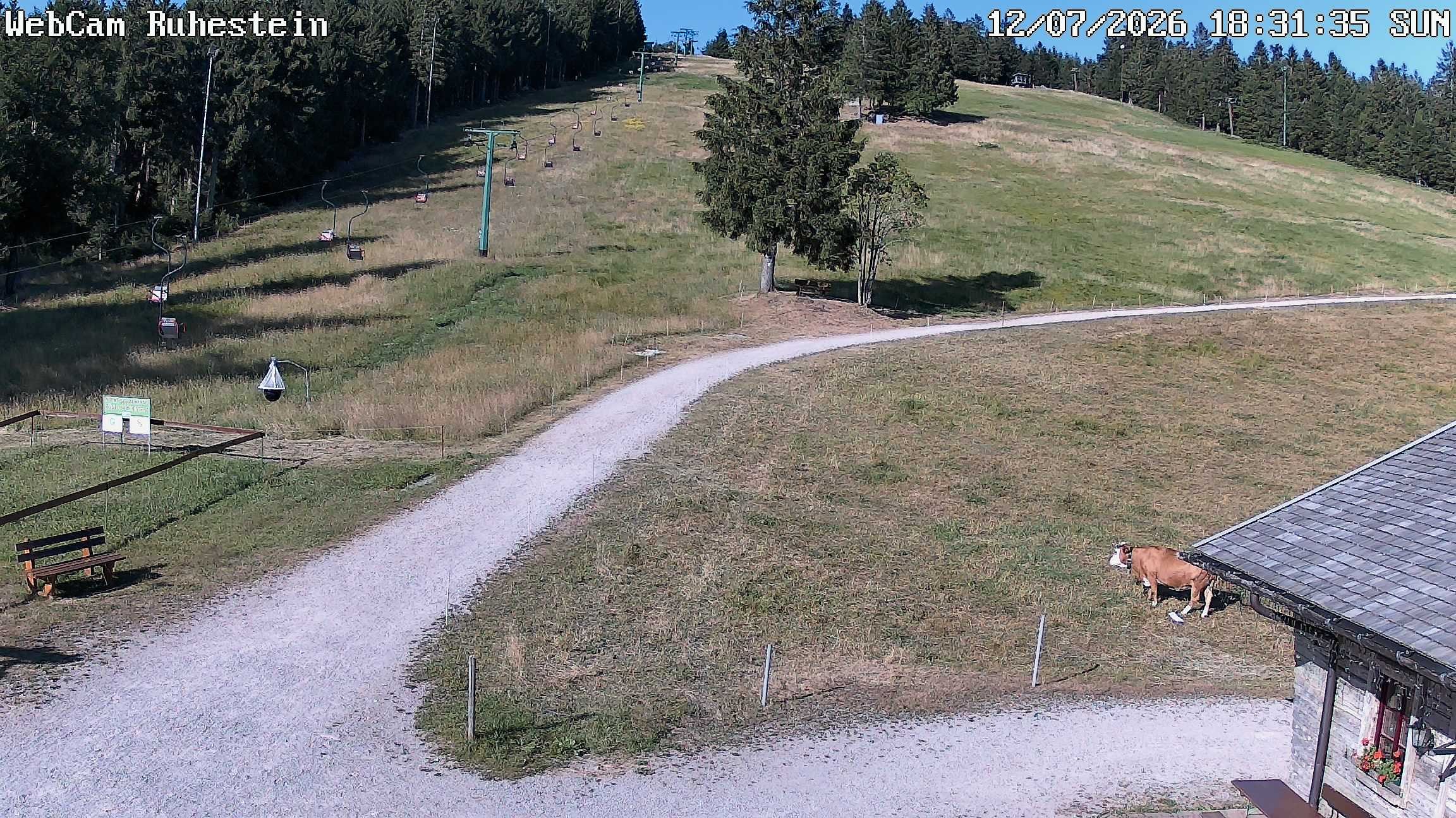 Archived image Webcam Baiersbronn: ski lift Ruhestein