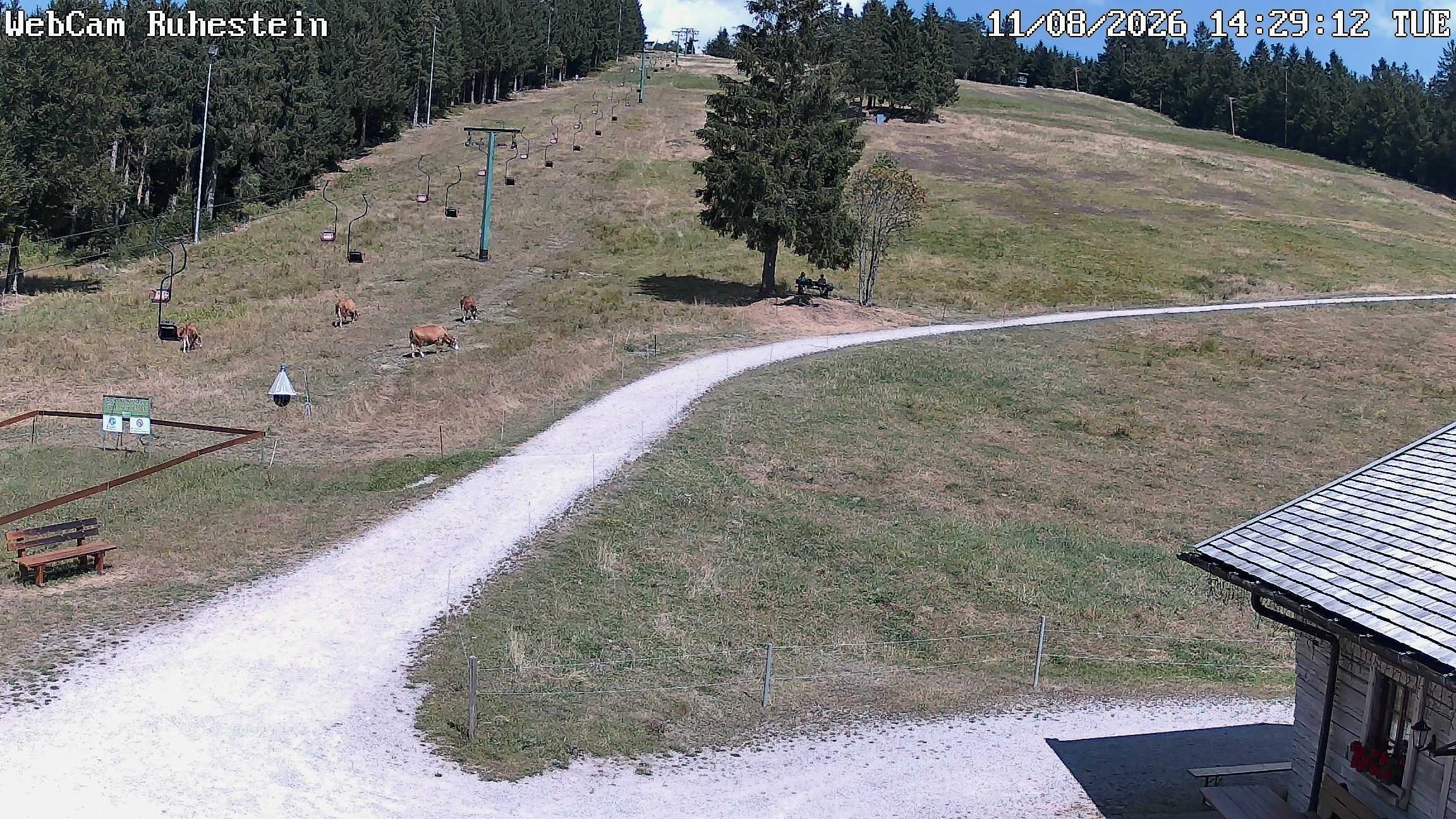 Archived image Webcam Baiersbronn: ski lift Ruhestein
