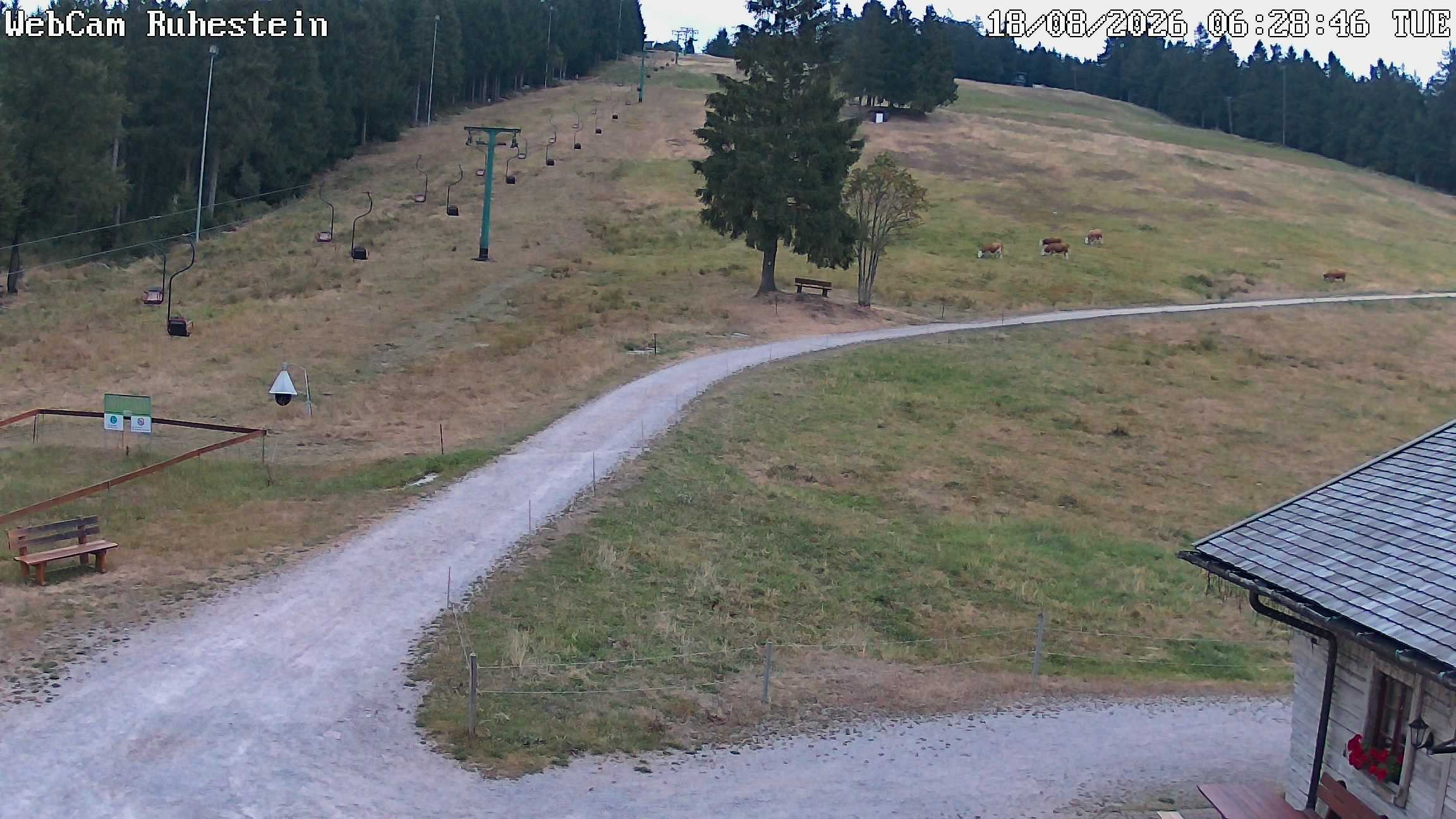 Archiv Foto Webcam Baiersbronn: Skilift Ruhestein