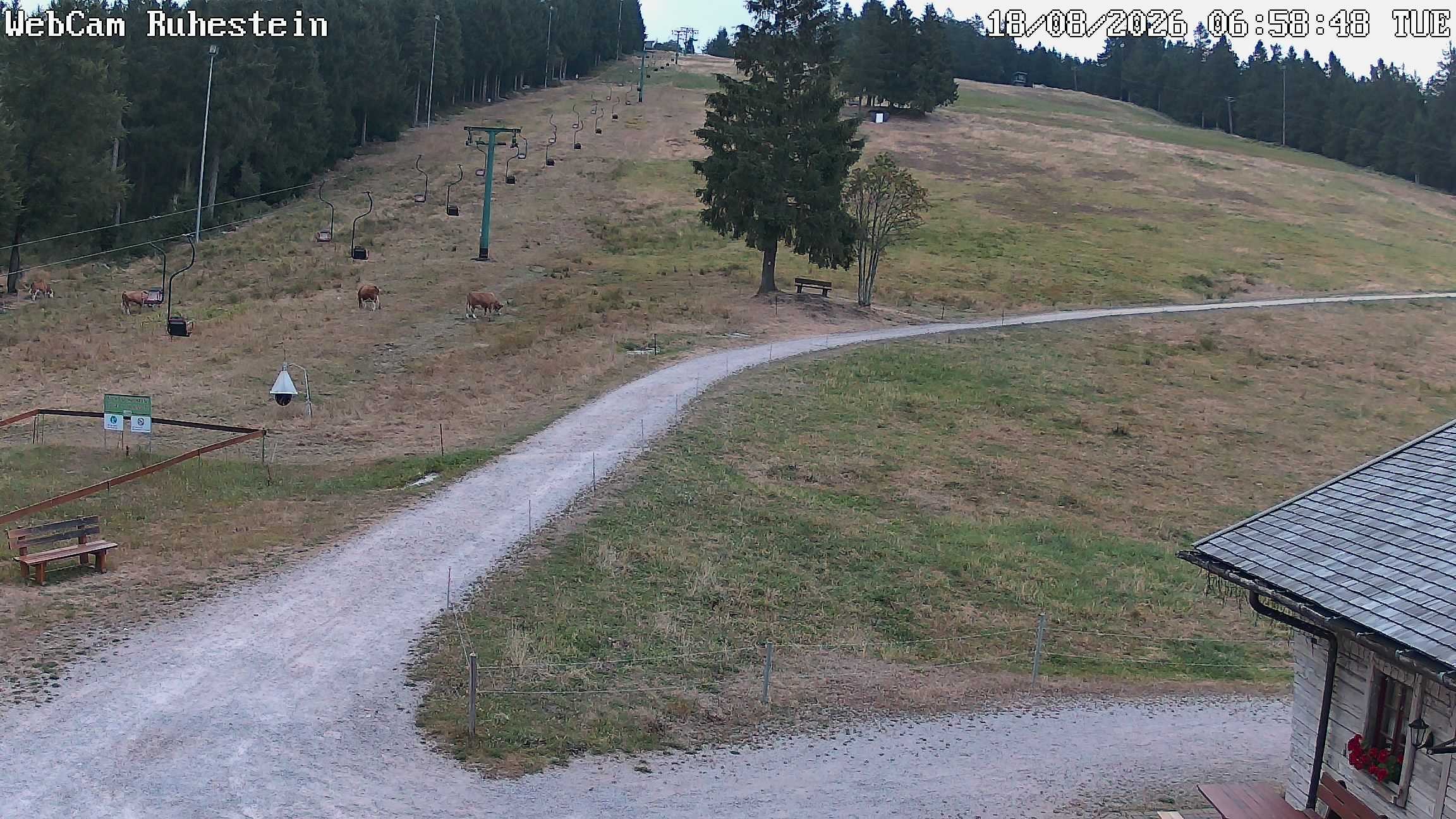 Archiv Foto Webcam Baiersbronn: Skilift Ruhestein