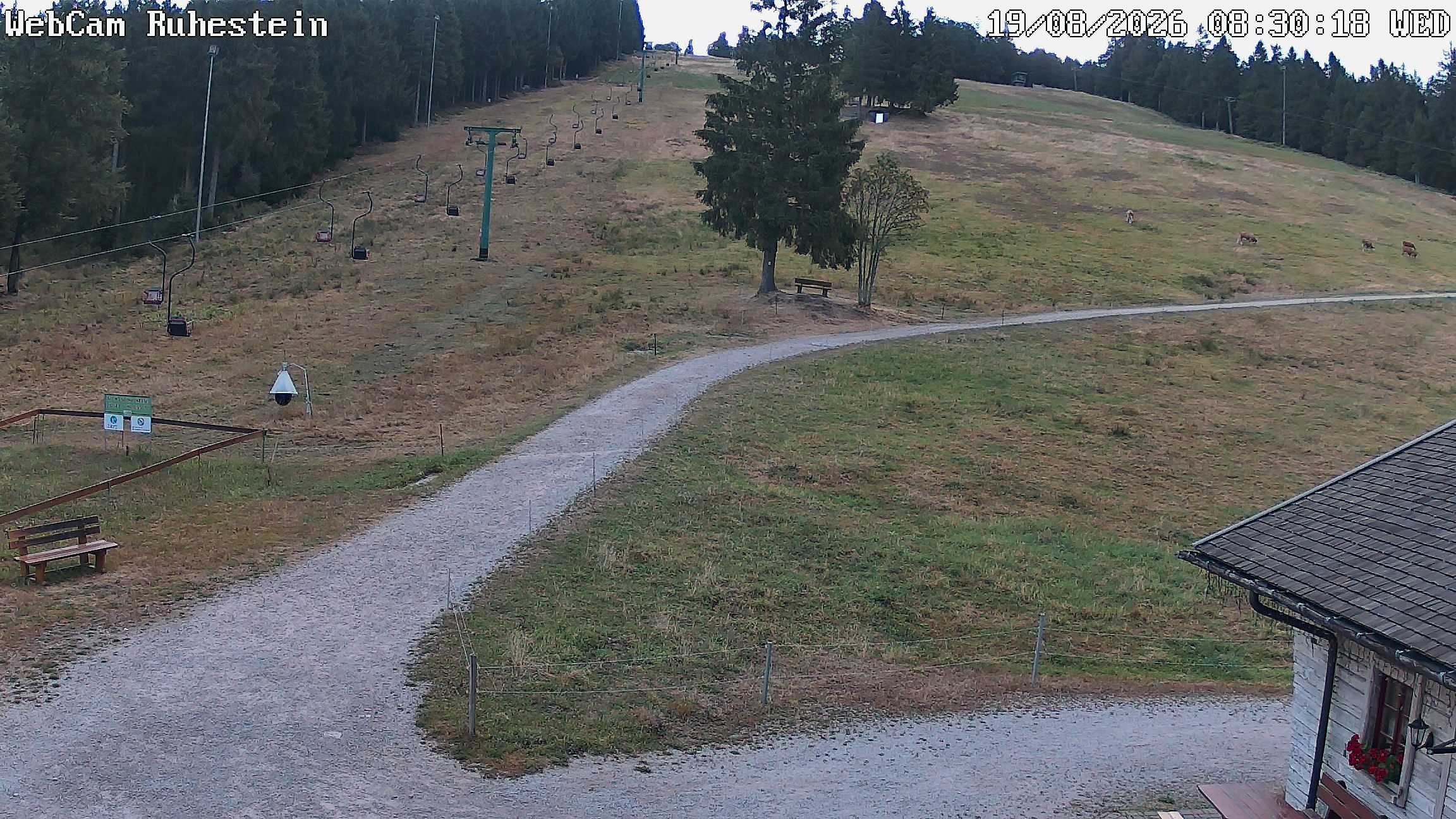 Archiv Foto Webcam Baiersbronn: Skilift Ruhestein