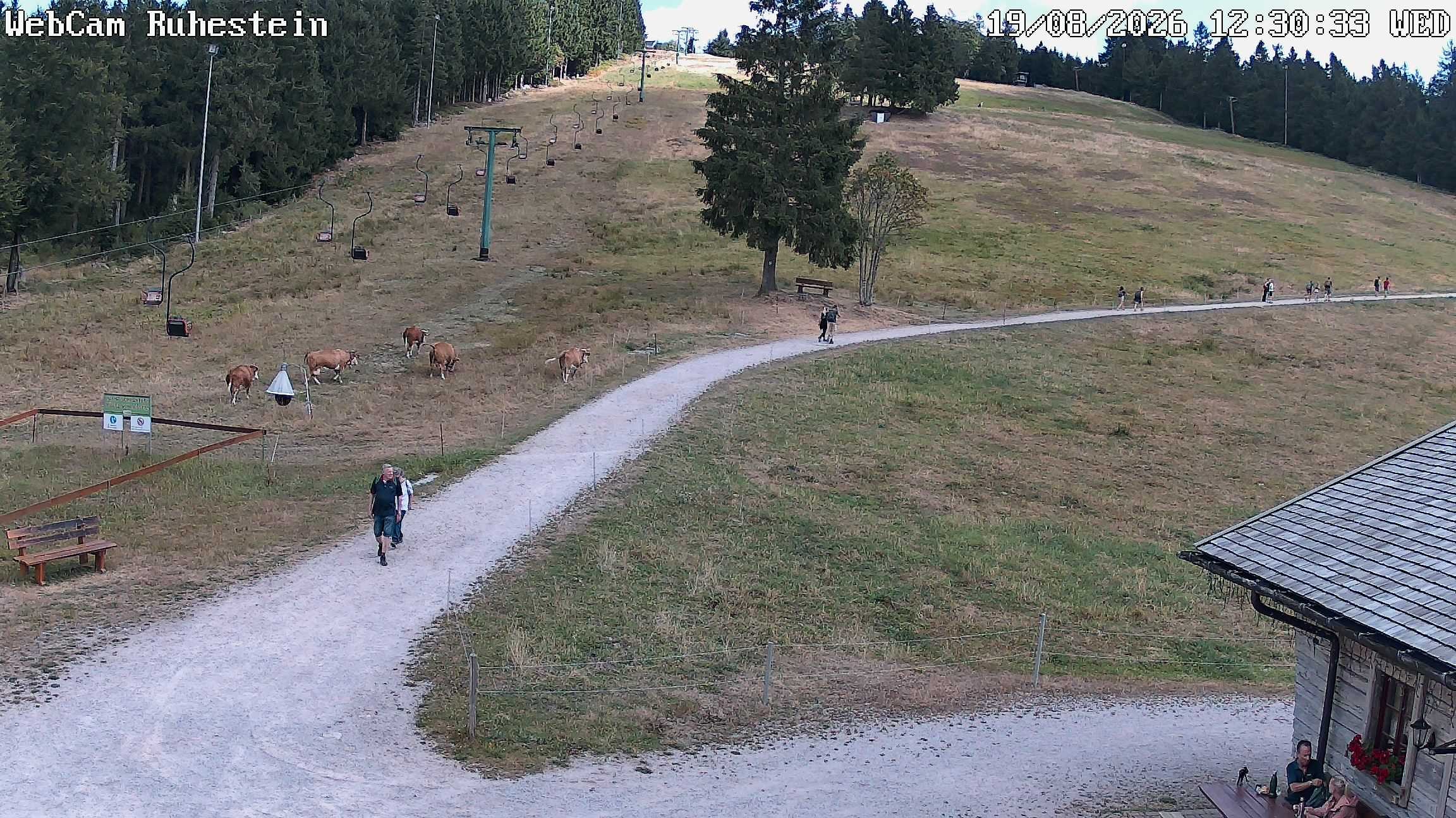 Archiv Foto Webcam Baiersbronn: Skilift Ruhestein