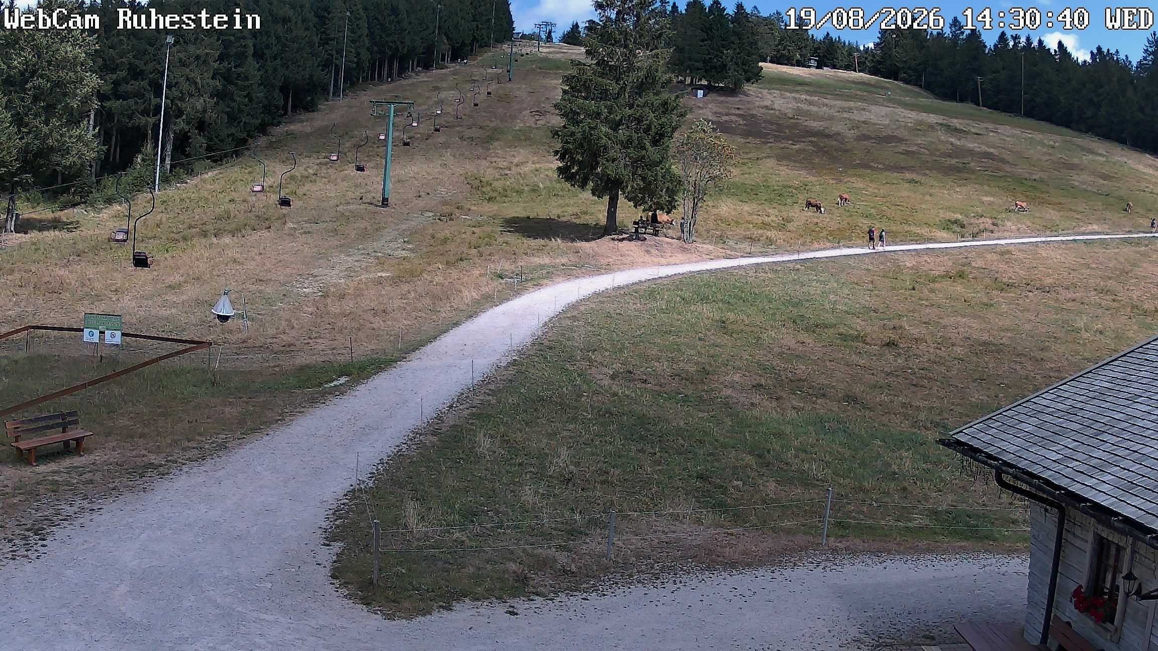 Archiv Foto Webcam Baiersbronn: Skilift Ruhestein