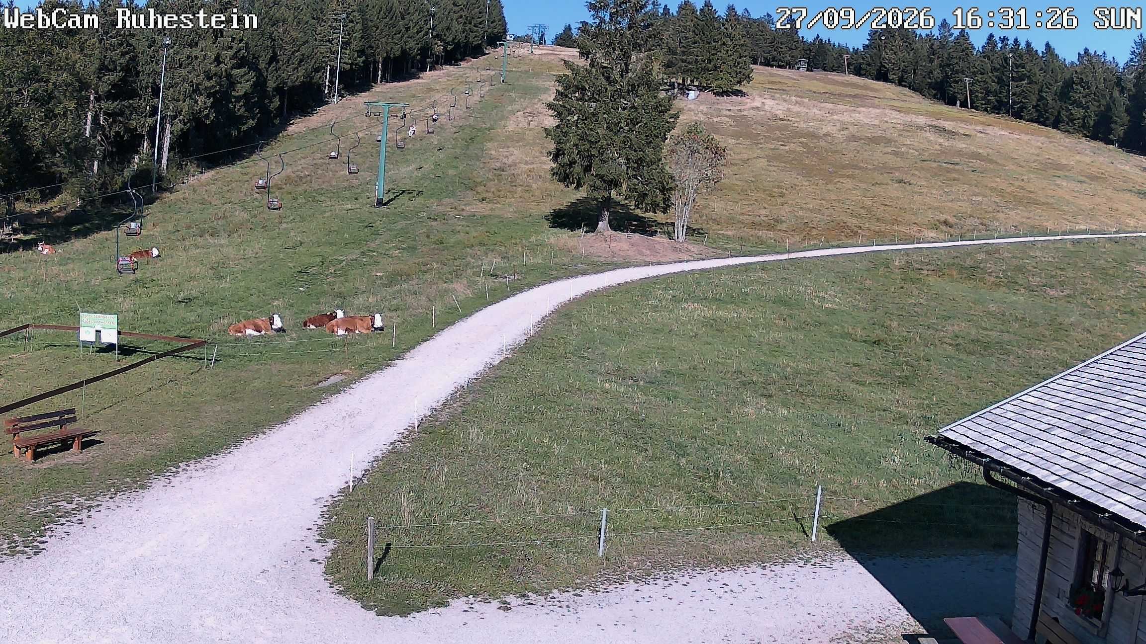 Archiv Foto Webcam Baiersbronn: Skilift Ruhestein