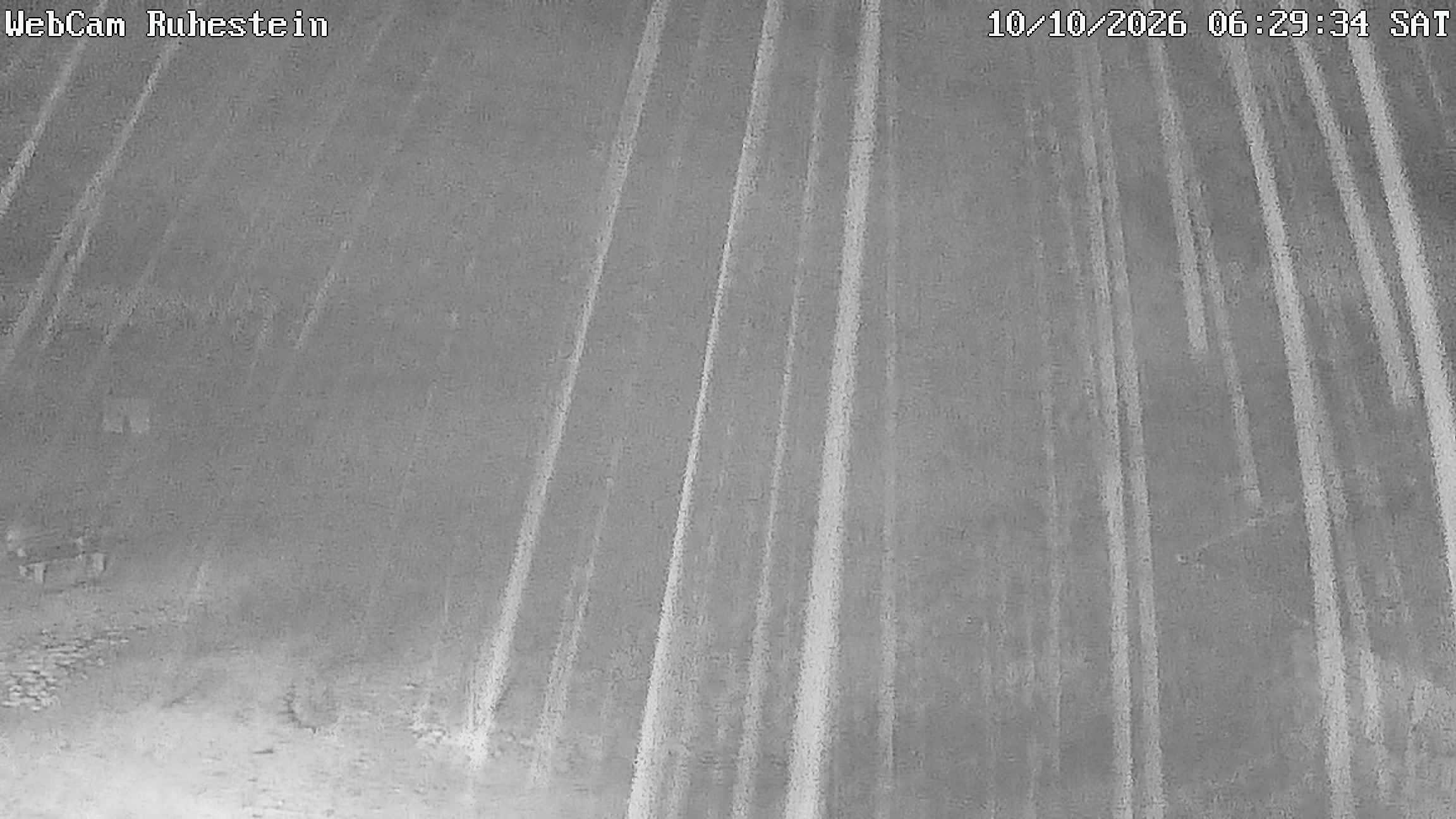 Archived image Webcam Baiersbronn: ski lift Ruhestein