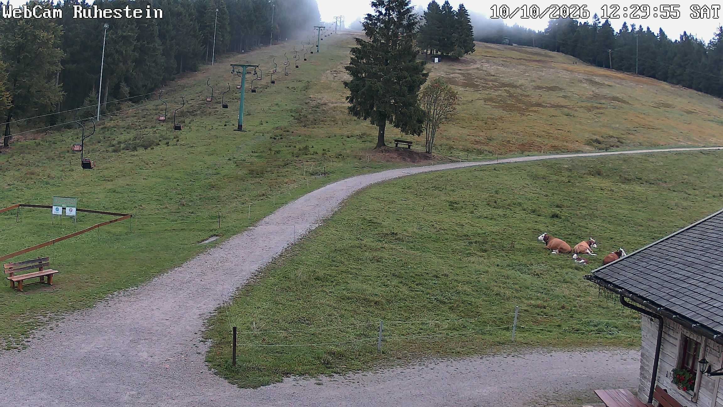 Archived image Webcam Baiersbronn: ski lift Ruhestein