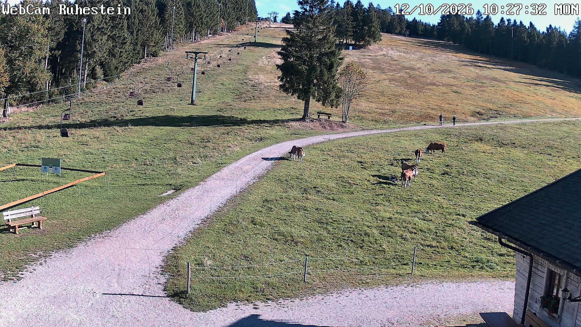 Archiv Foto Webcam Baiersbronn: Skilift Ruhestein