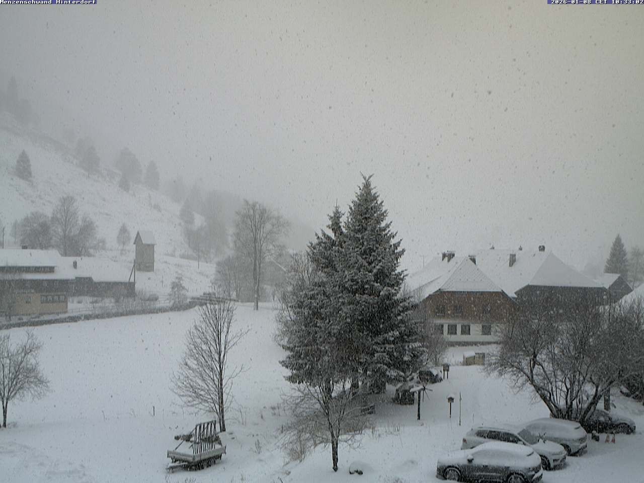 Archiv Foto Webcam Menzenschwand: Hinterdorf