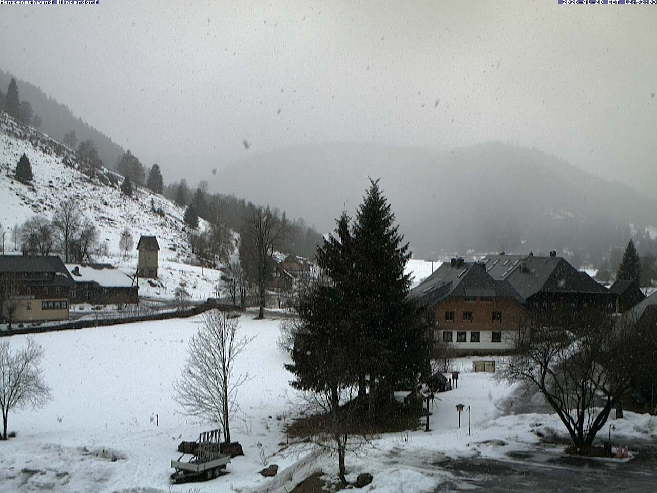 Archiv Foto Webcam Menzenschwand: Hinterdorf