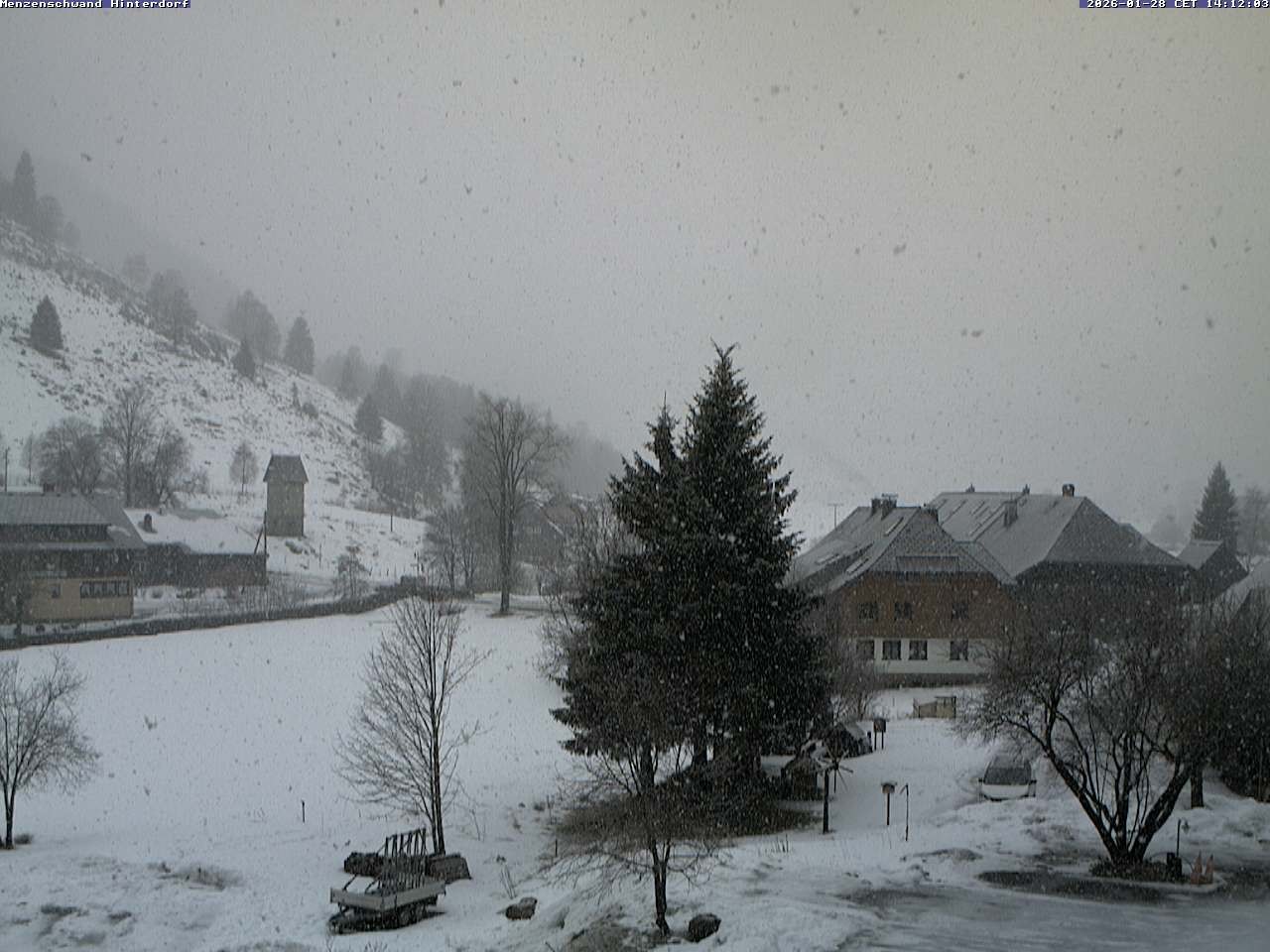 Archiv Foto Webcam Menzenschwand: Hinterdorf