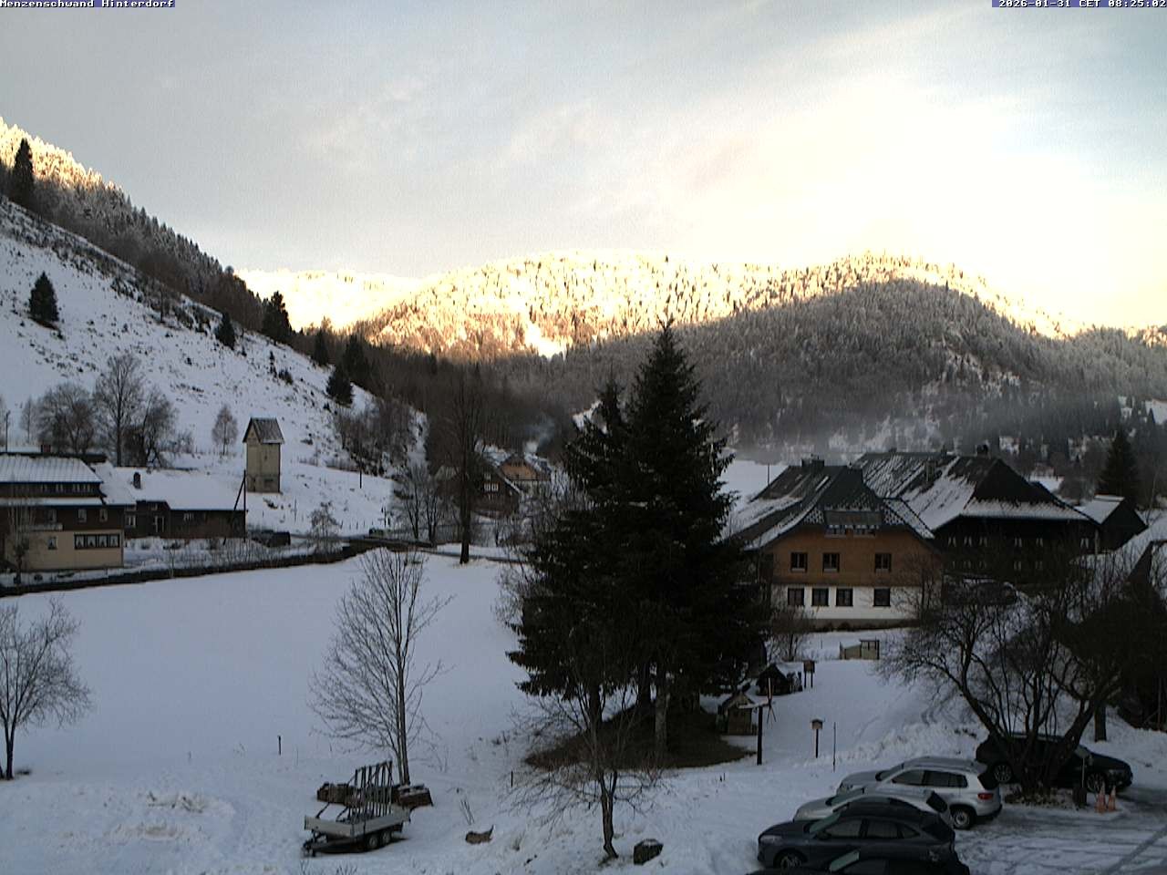 Archived image Webcam Menzenschwand (Hinterdorf)