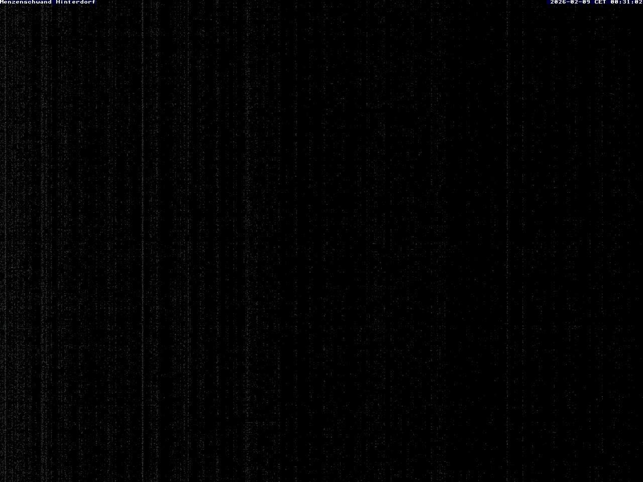 Archived image Webcam Menzenschwand (Hinterdorf)