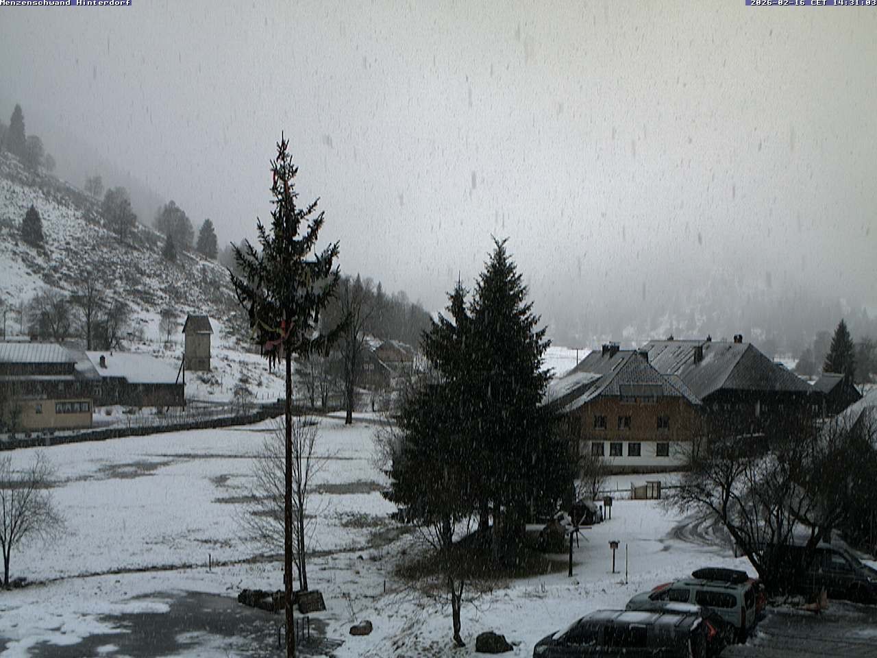 Archiv Foto Webcam Menzenschwand: Hinterdorf