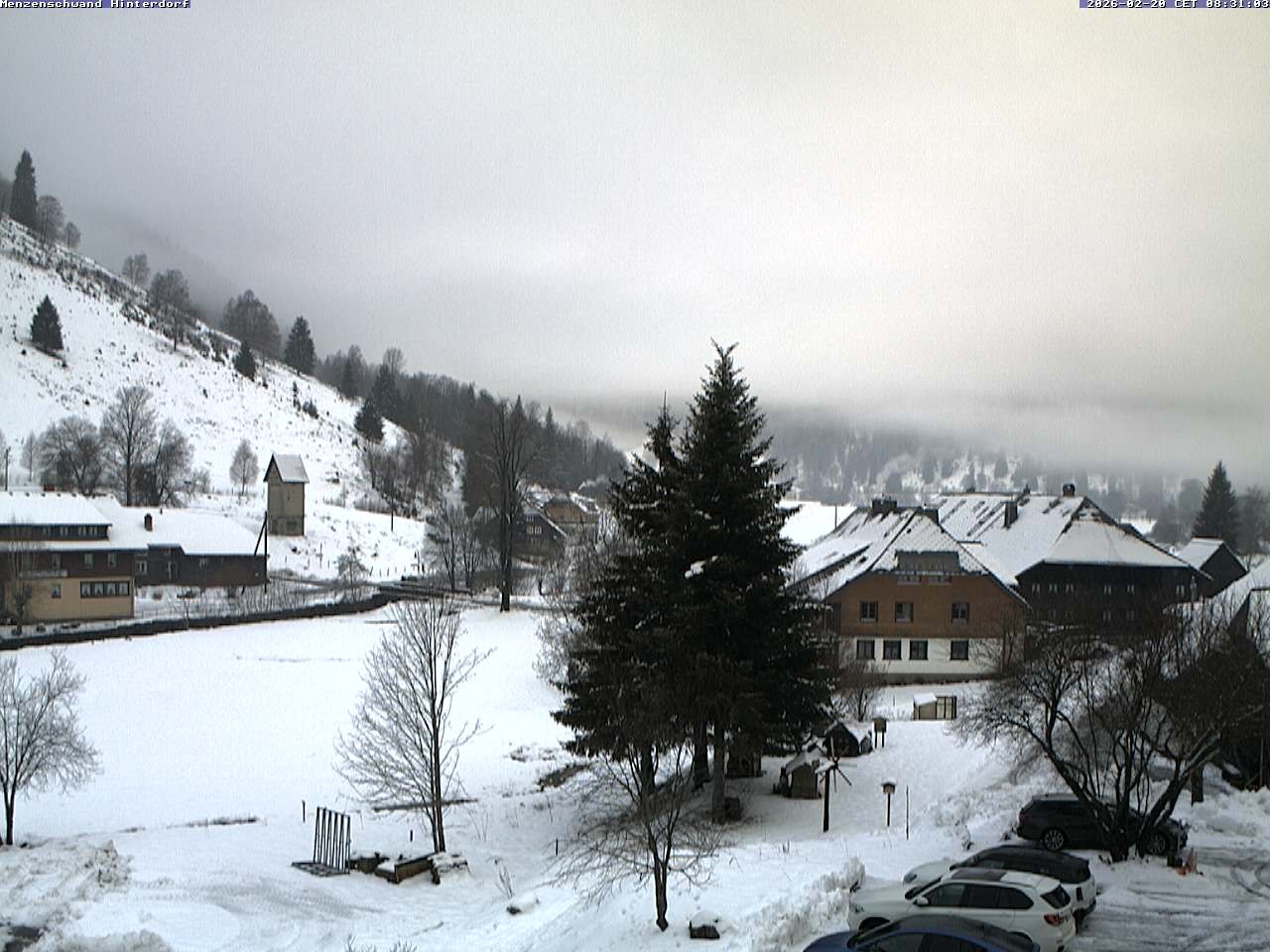Archiv Foto Webcam Menzenschwand: Hinterdorf