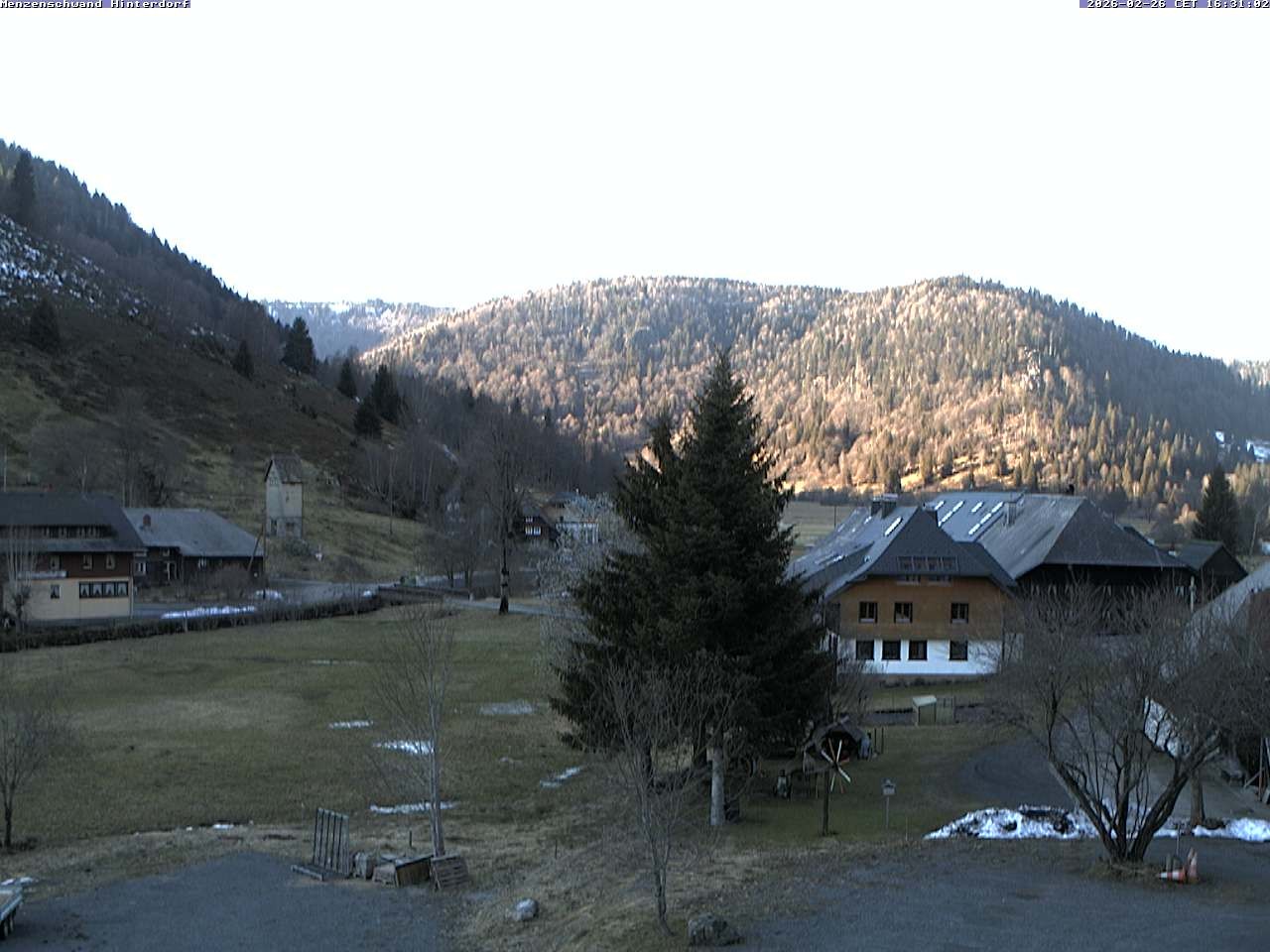 Archiv Foto Webcam Menzenschwand: Hinterdorf