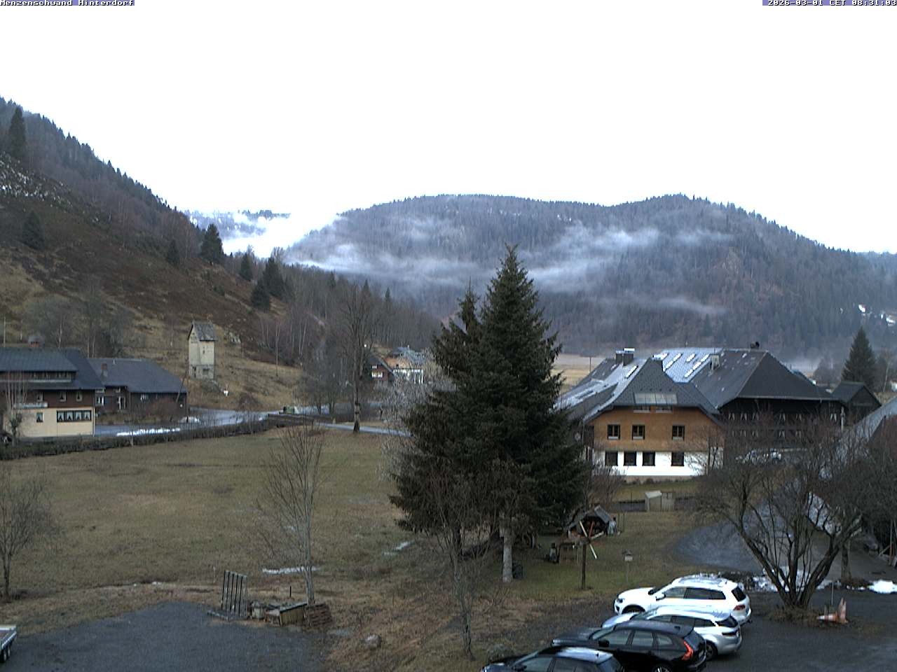 Archiv Foto Webcam Menzenschwand: Hinterdorf