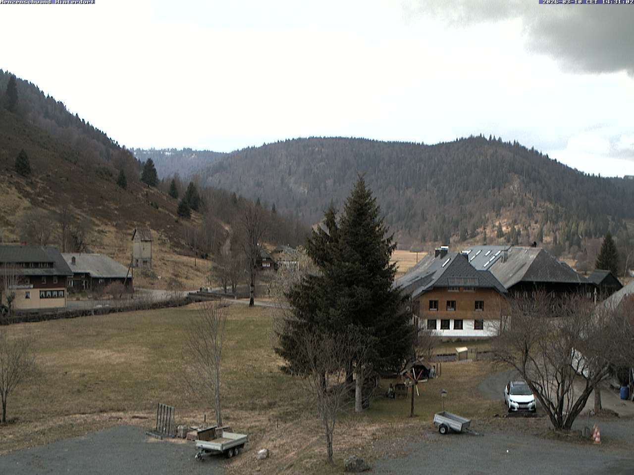 Archiv Foto Webcam Menzenschwand: Hinterdorf