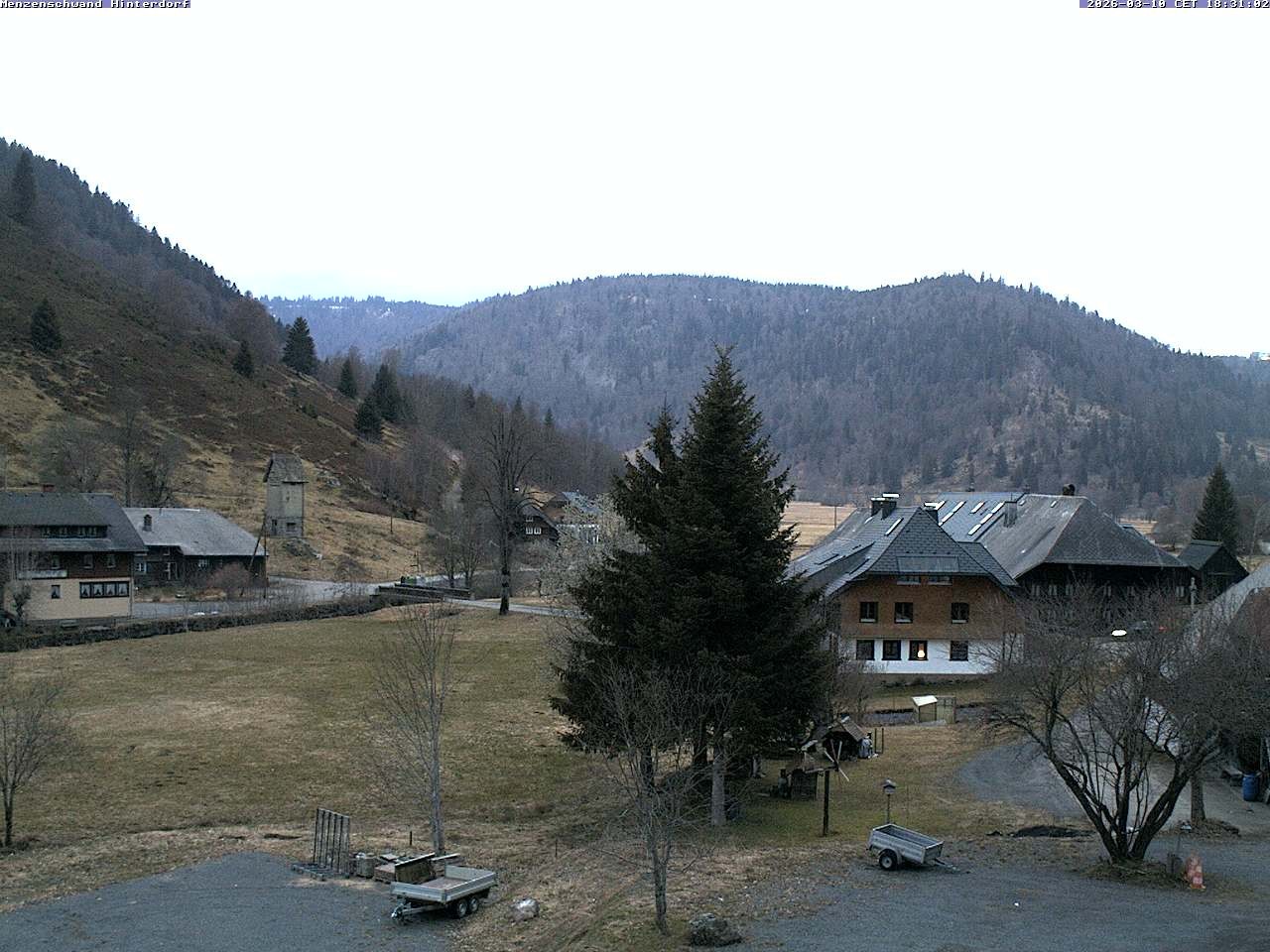 Archiv Foto Webcam Menzenschwand: Hinterdorf