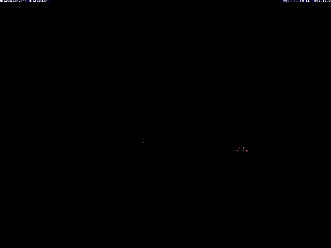 Archiv Foto Webcam Menzenschwand: Hinterdorf