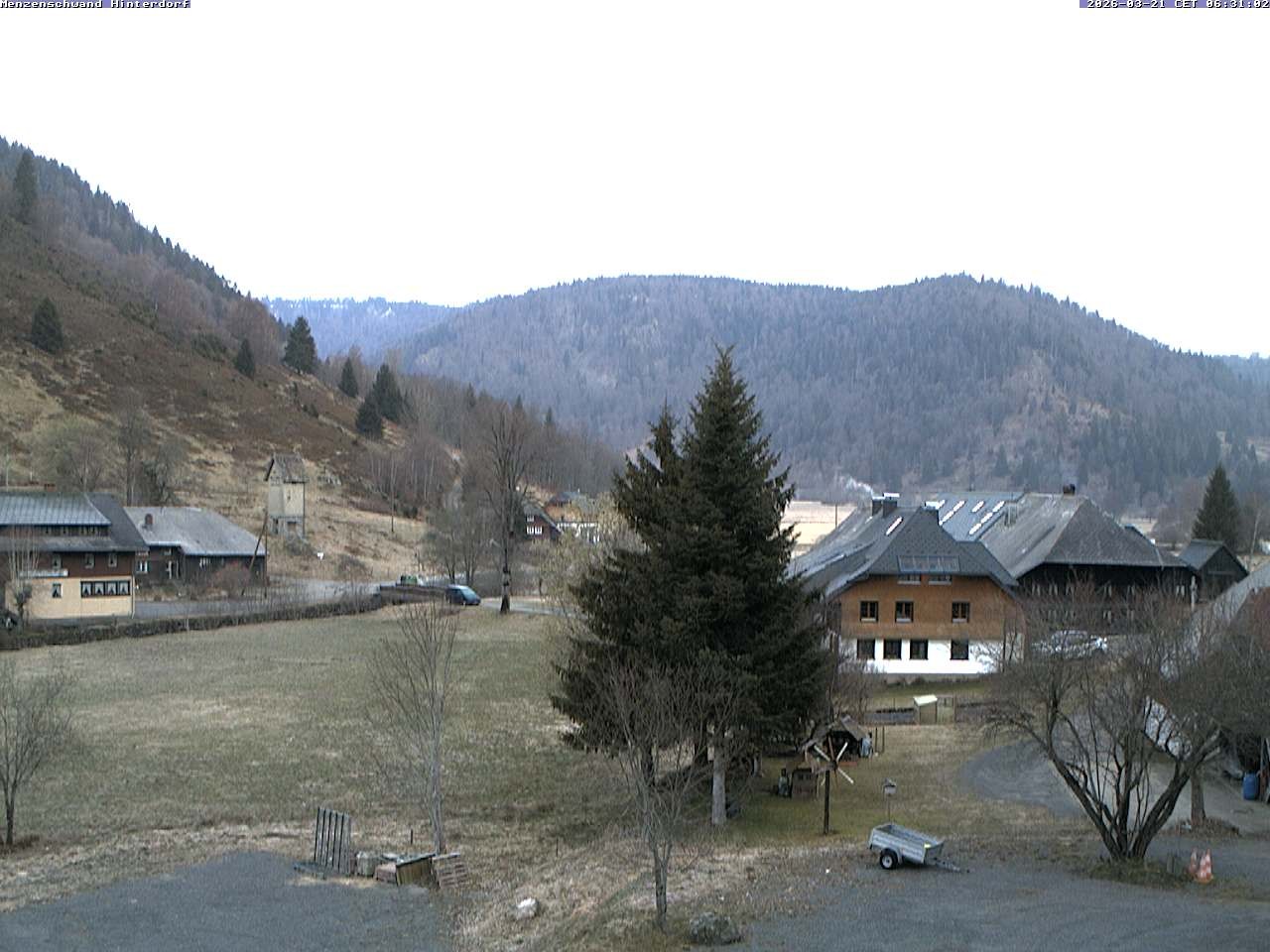 Archiv Foto Webcam Menzenschwand: Hinterdorf