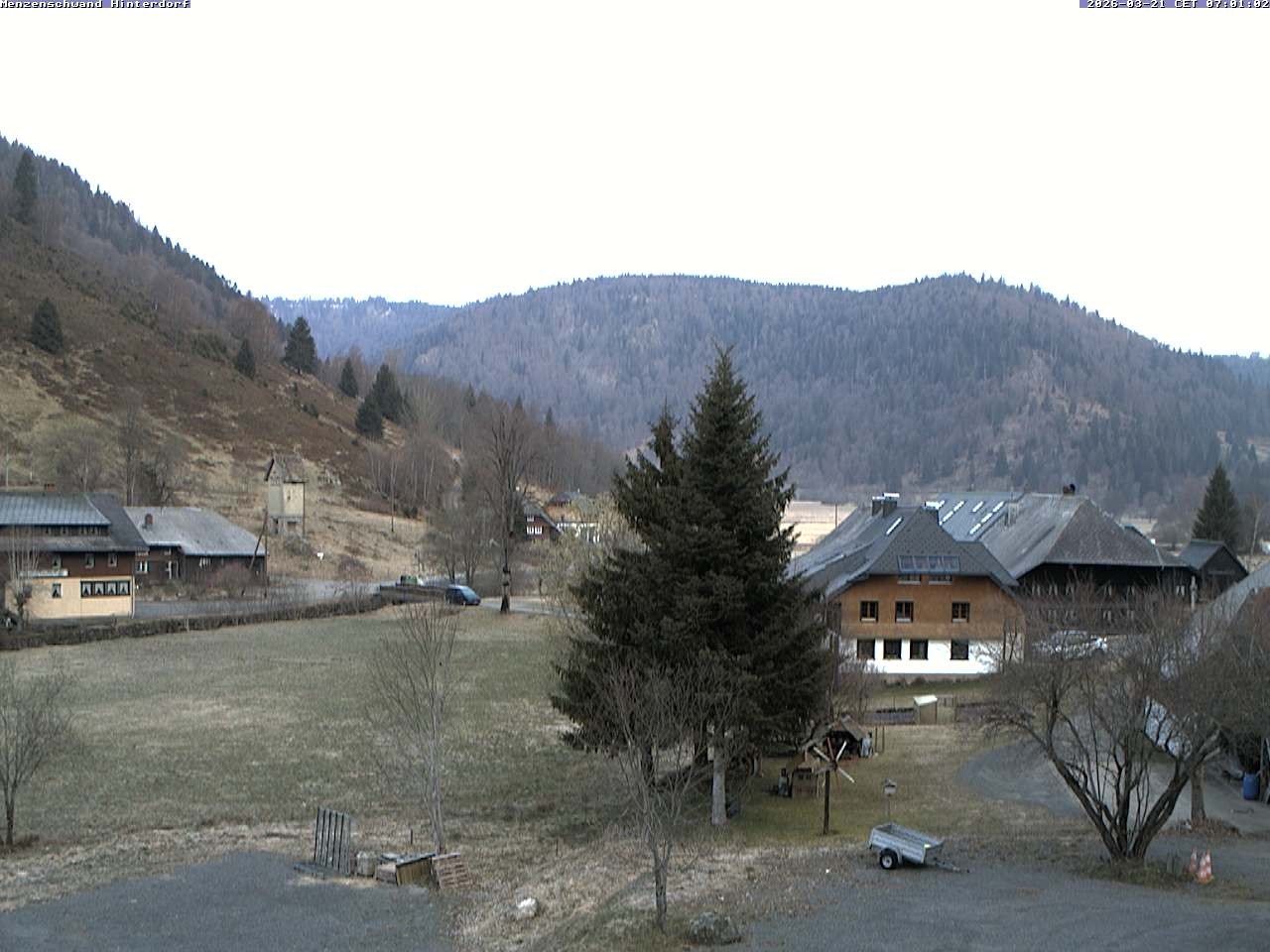 Archiv Foto Webcam Menzenschwand: Hinterdorf