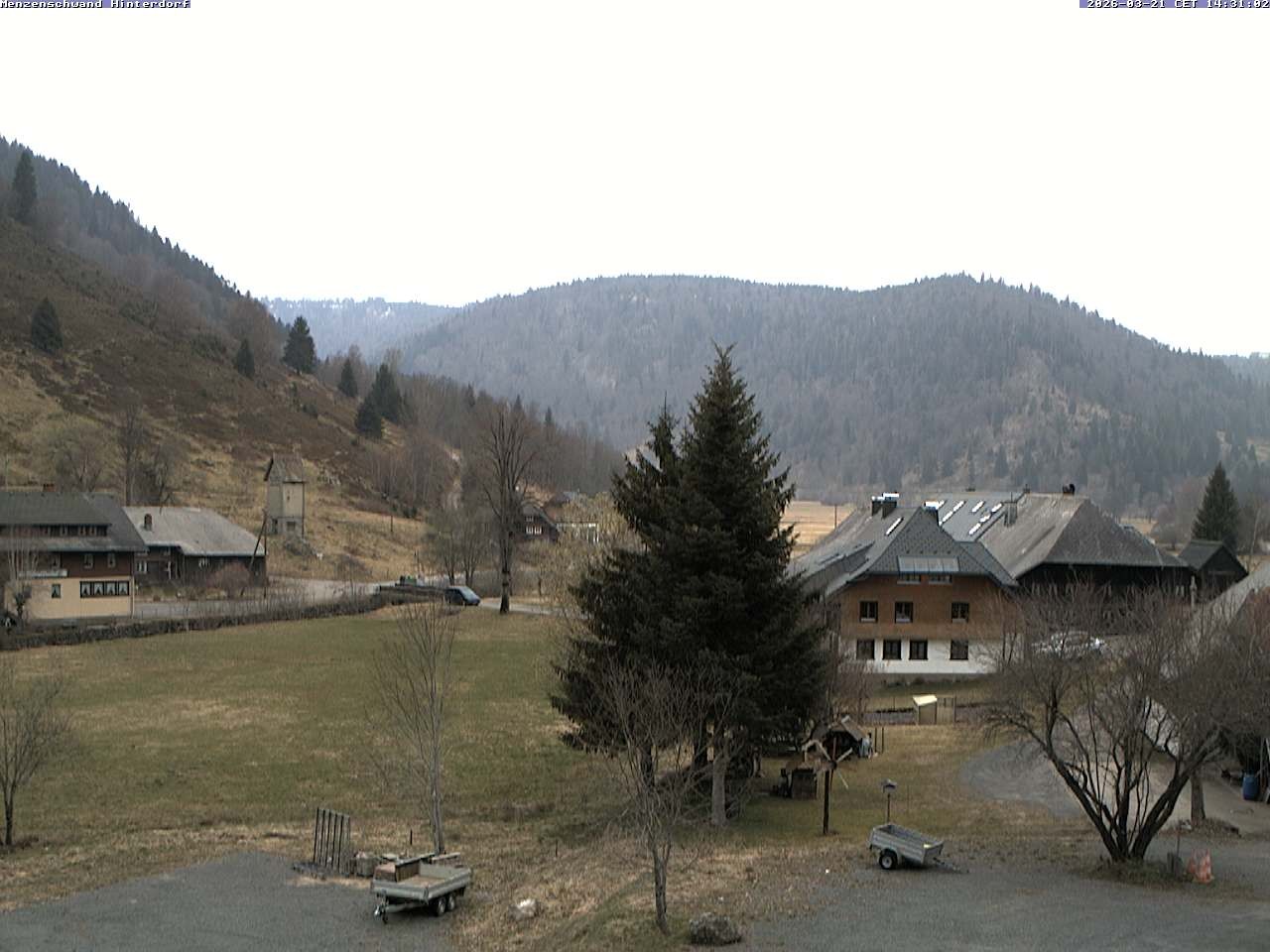 Archiv Foto Webcam Menzenschwand: Hinterdorf