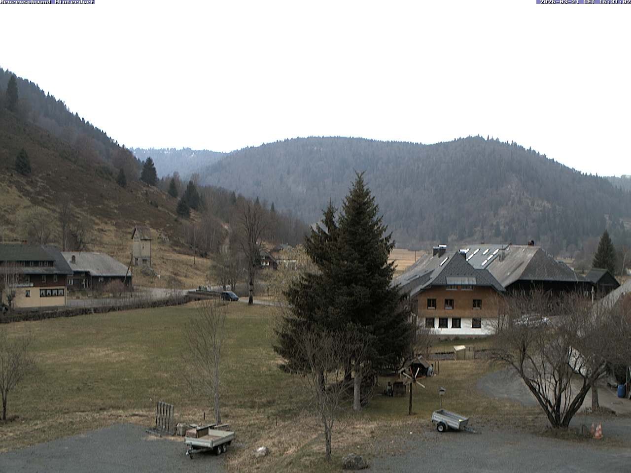 Archiv Foto Webcam Menzenschwand: Hinterdorf