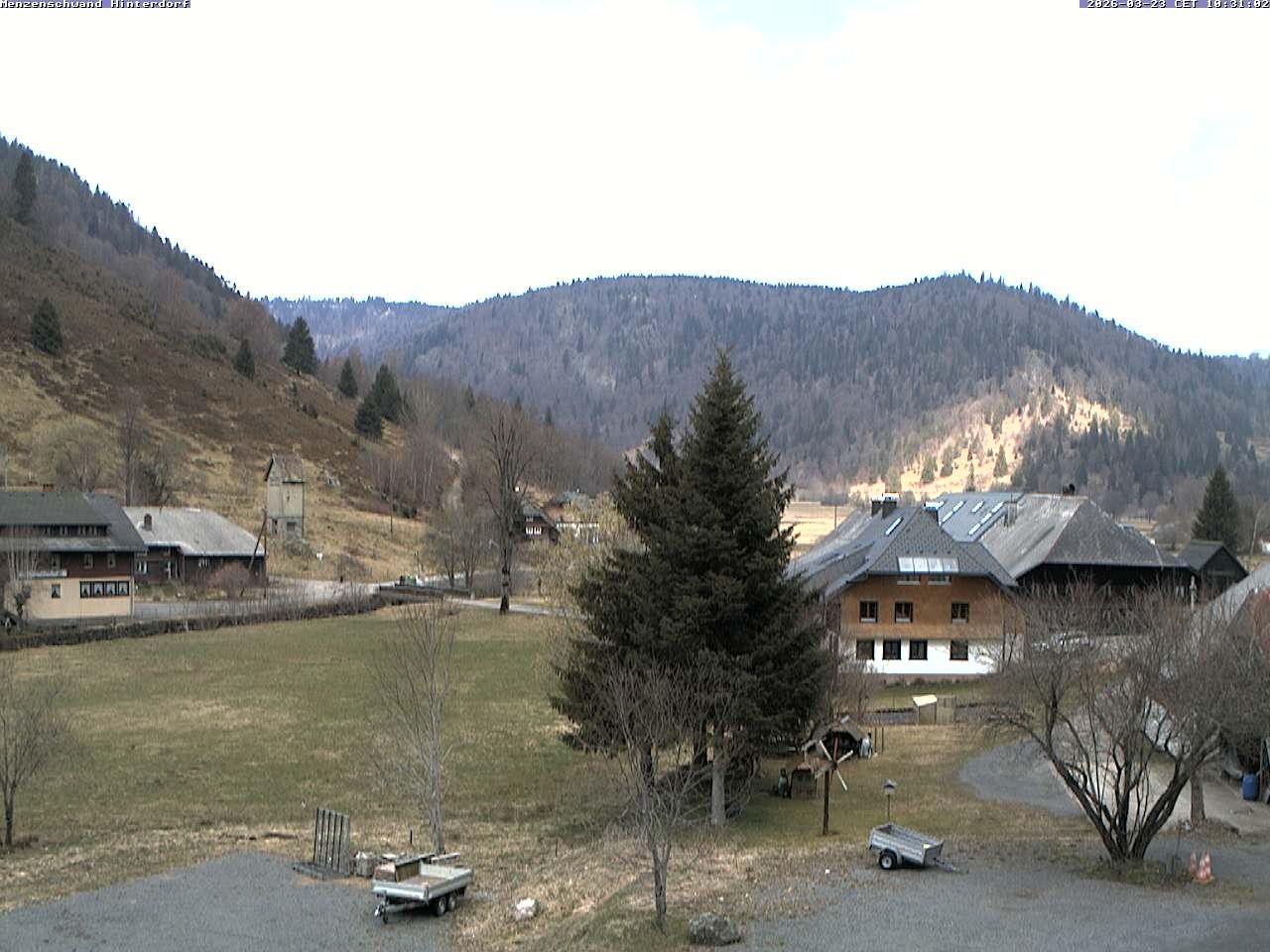 Archiv Foto Webcam Menzenschwand: Hinterdorf