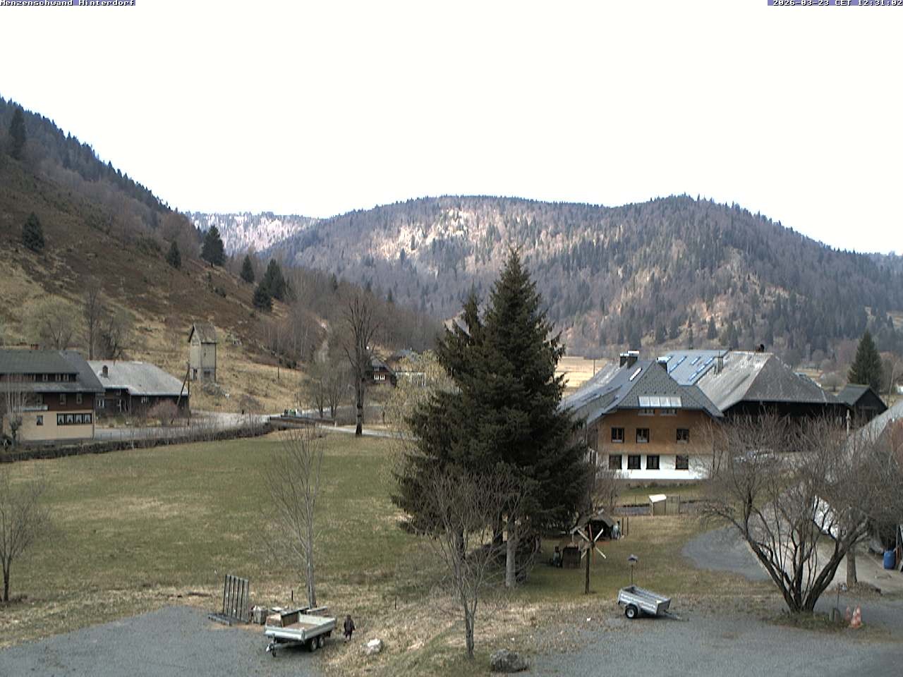 Archiv Foto Webcam Menzenschwand: Hinterdorf