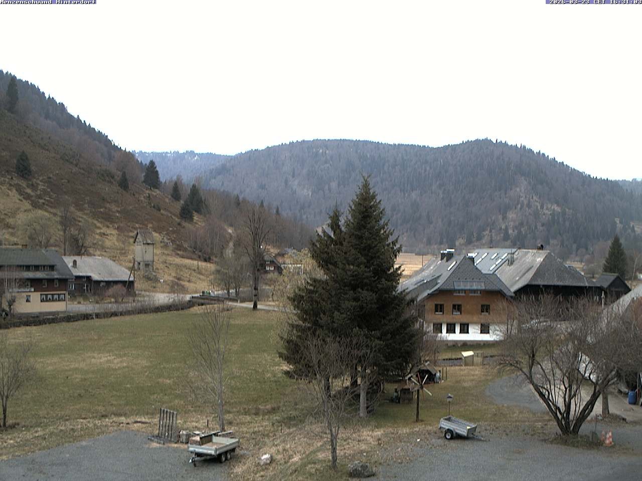 Archiv Foto Webcam Menzenschwand: Hinterdorf