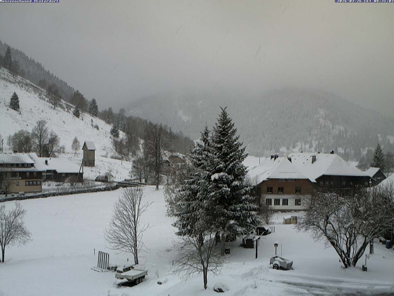 Archiv Foto Webcam Menzenschwand: Hinterdorf