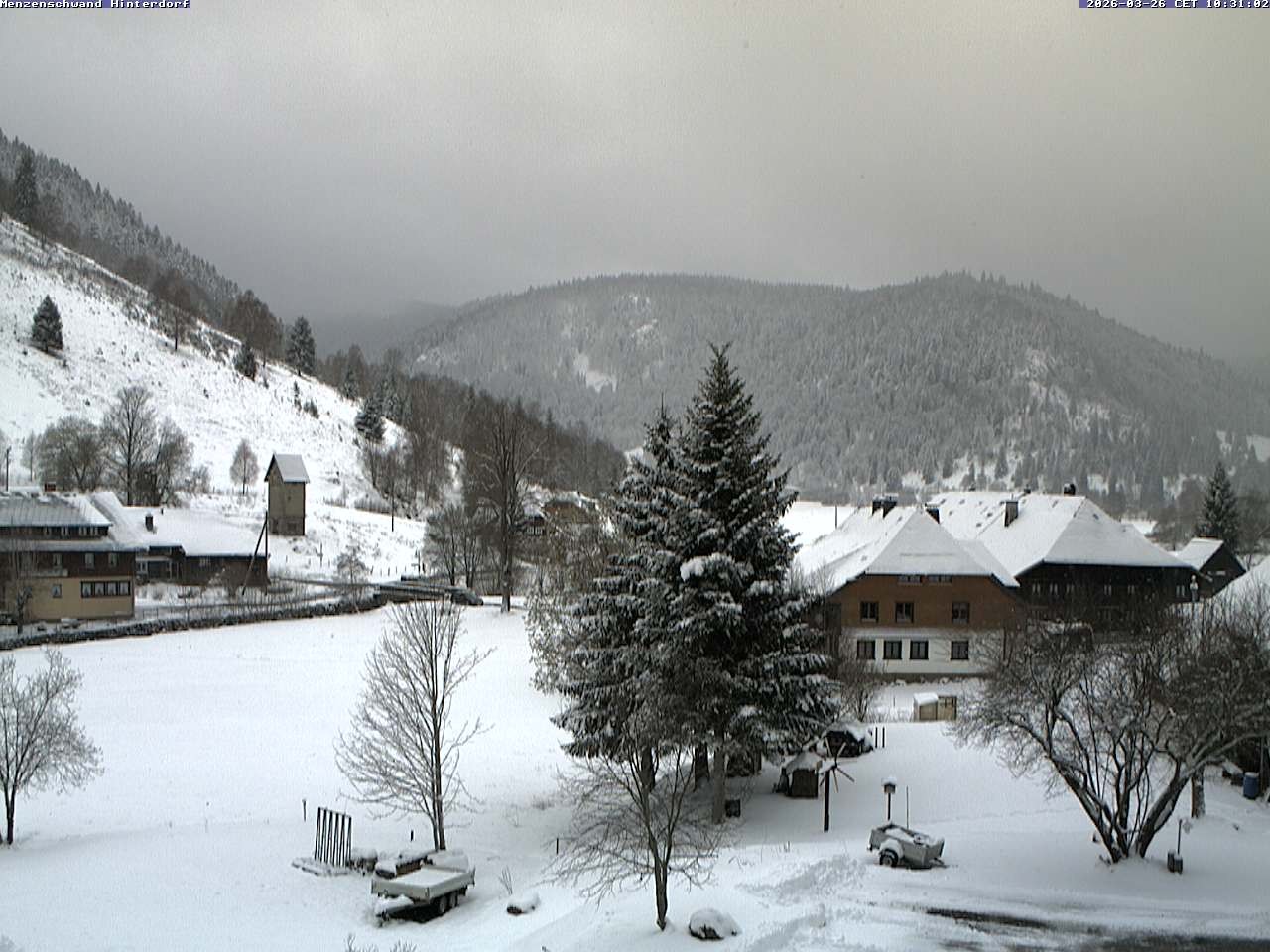 Archiv Foto Webcam Menzenschwand: Hinterdorf
