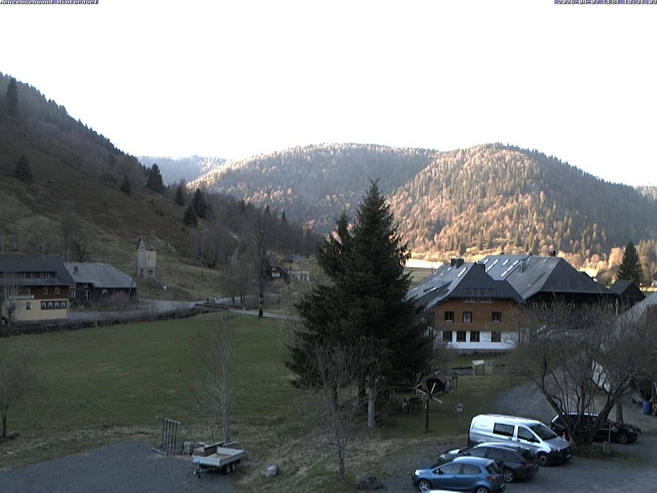 Archived image Webcam Menzenschwand (Hinterdorf)
