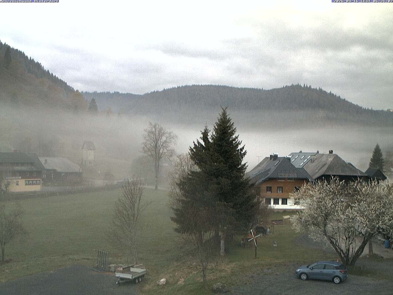 Archiv Foto Webcam Menzenschwand: Hinterdorf