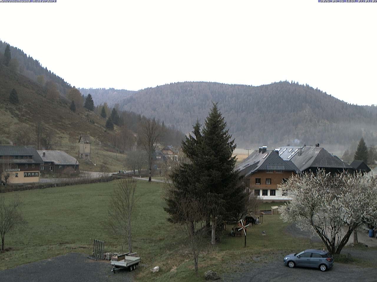 Archiv Foto Webcam Menzenschwand: Hinterdorf