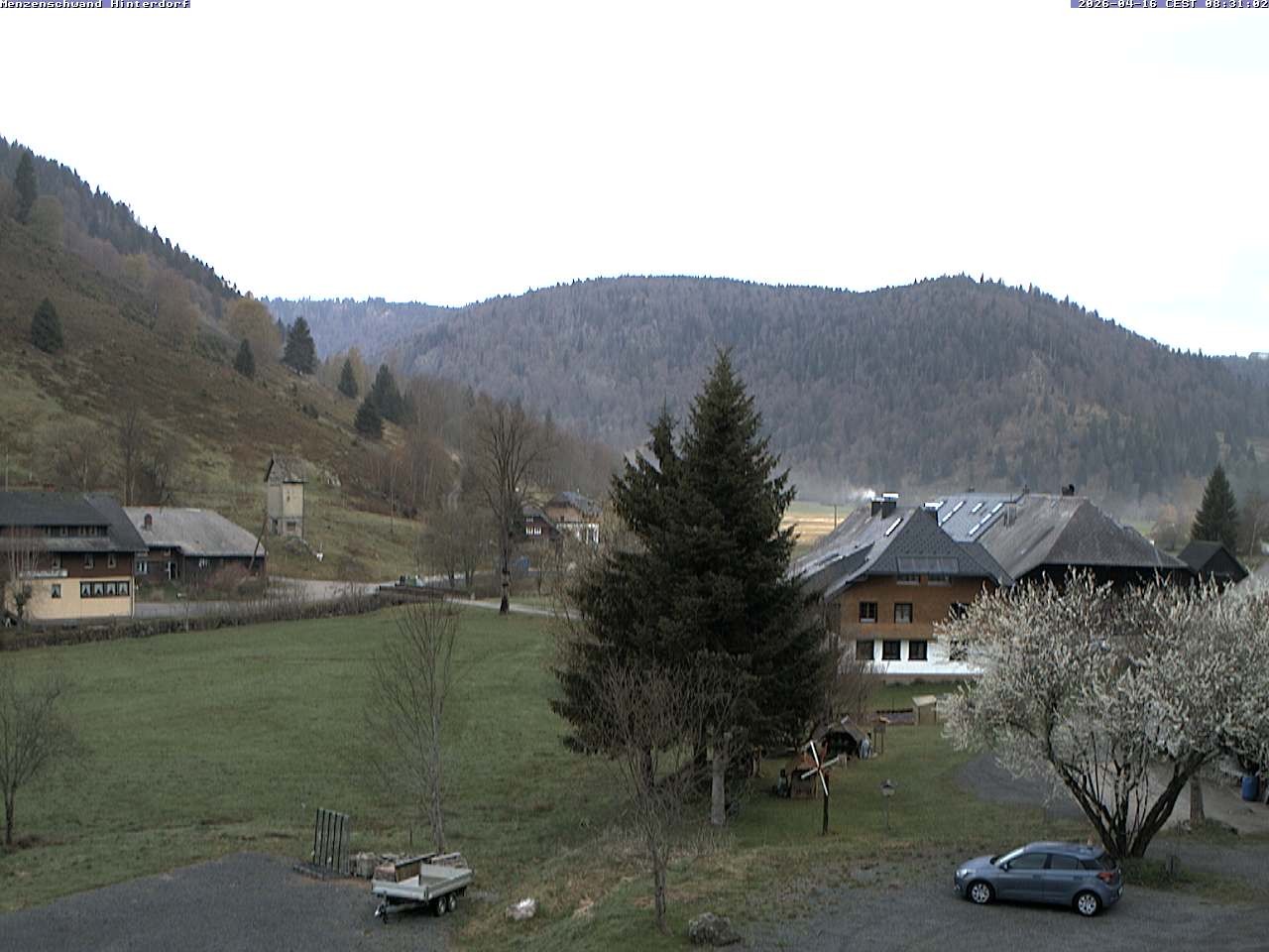 Archiv Foto Webcam Menzenschwand: Hinterdorf