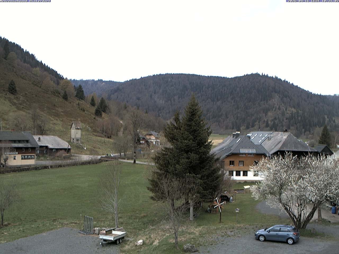 Archiv Foto Webcam Menzenschwand: Hinterdorf