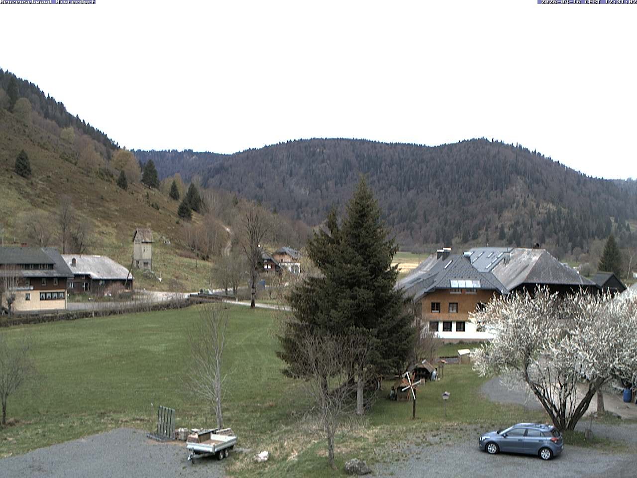 Archiv Foto Webcam Menzenschwand: Hinterdorf