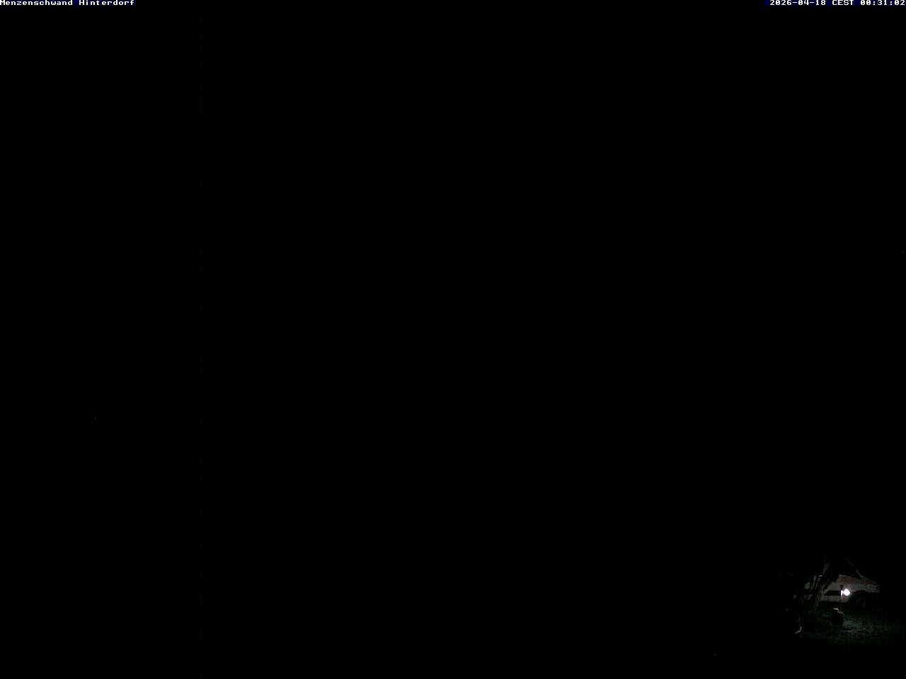 Archived image Webcam Menzenschwand (Hinterdorf)