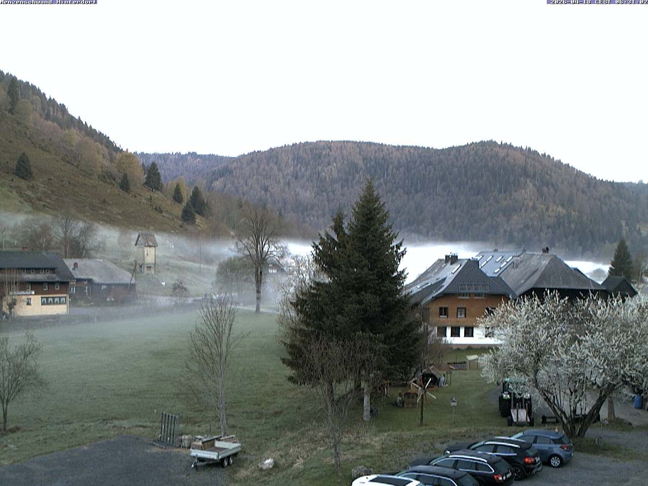 Archived image Webcam Menzenschwand (Hinterdorf)