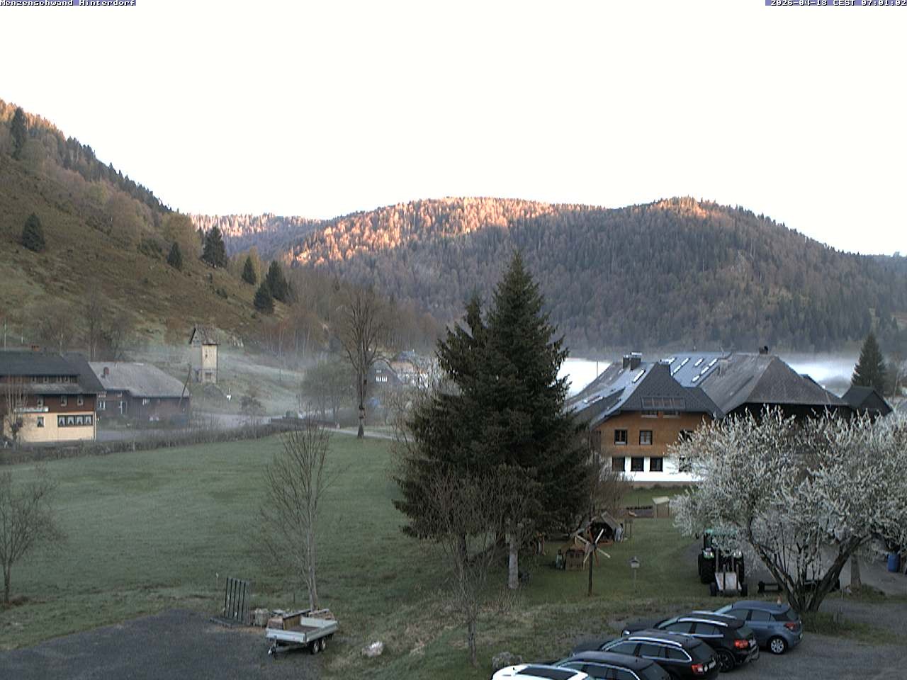 Archived image Webcam Menzenschwand (Hinterdorf)