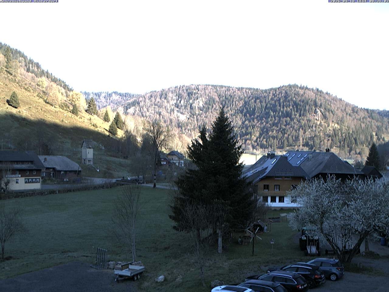 Archived image Webcam Menzenschwand (Hinterdorf)