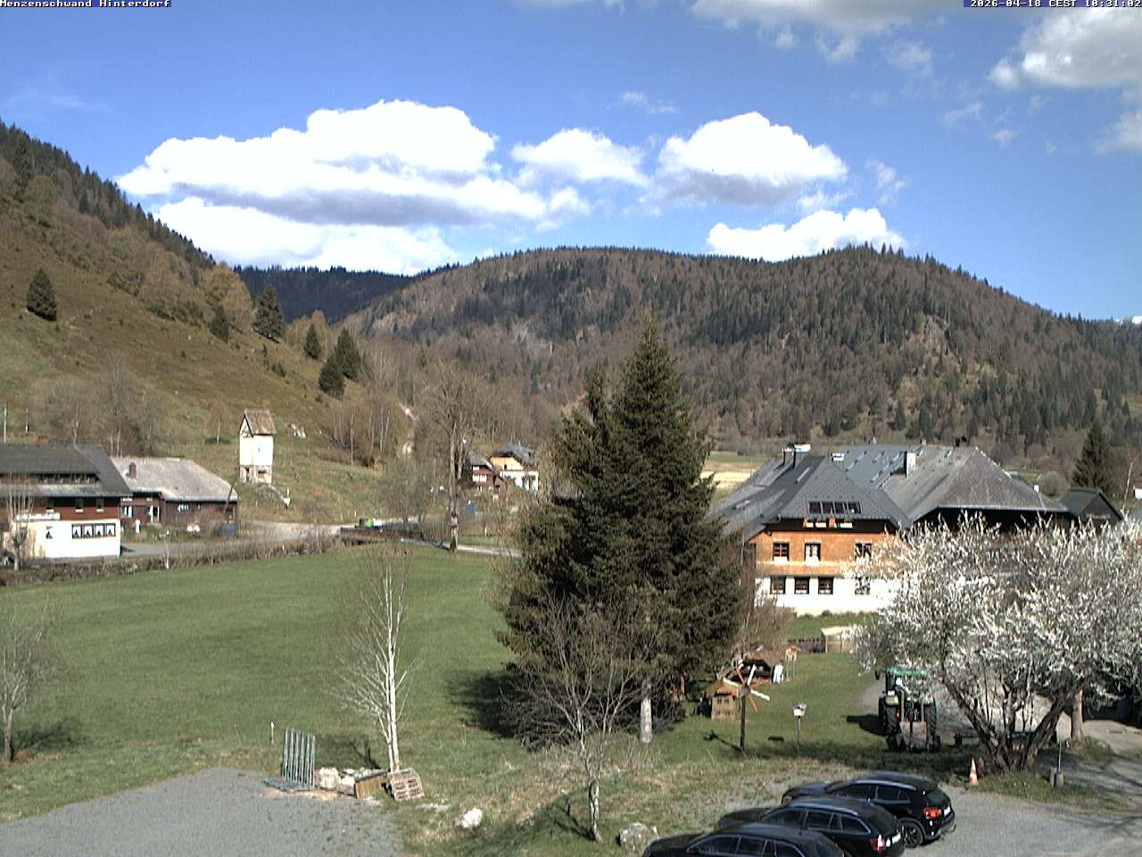 Archived image Webcam Menzenschwand (Hinterdorf)