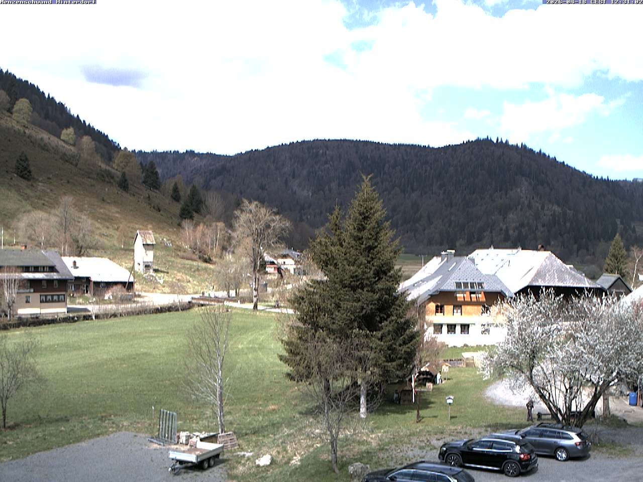 Archived image Webcam Menzenschwand (Hinterdorf)
