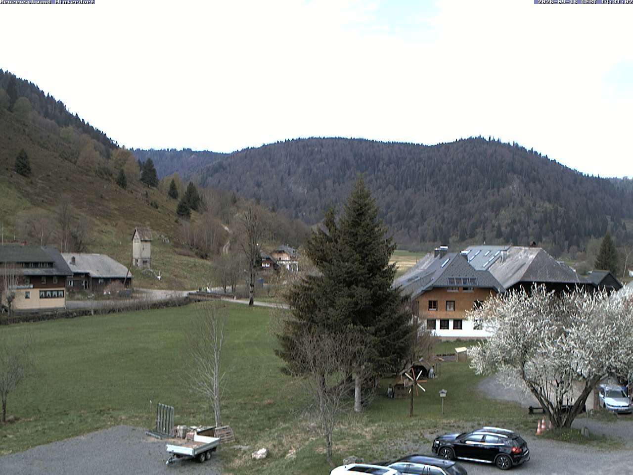 Archived image Webcam Menzenschwand (Hinterdorf)