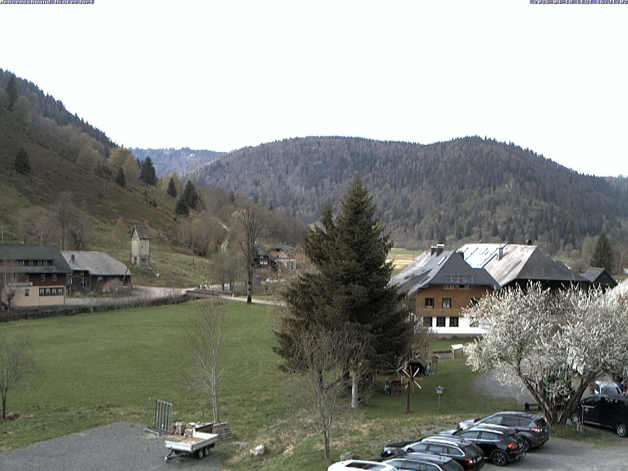 Archived image Webcam Menzenschwand (Hinterdorf)