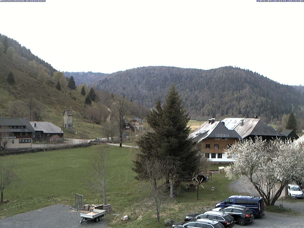 Archived image Webcam Menzenschwand (Hinterdorf)