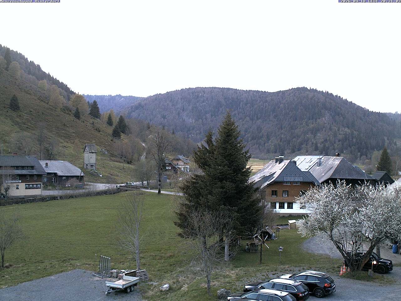 Archiv Foto Webcam Menzenschwand: Hinterdorf